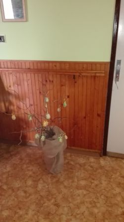 Výzdoba k veľkej noci - Dianie v zariadení apríl 2017 025